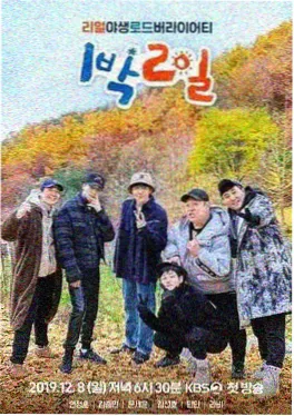 萌宠大作战